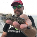 Rockfishing românesc – Spinning la guvide în Marea Neagră